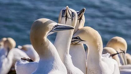 Kaiyun开云：让云端成为你的舞台