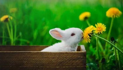 Kaiyun开云：让云端成为你的舞台